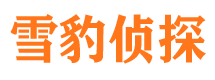 宁江市私家侦探